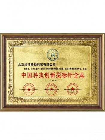 中国科技新型标杆企业